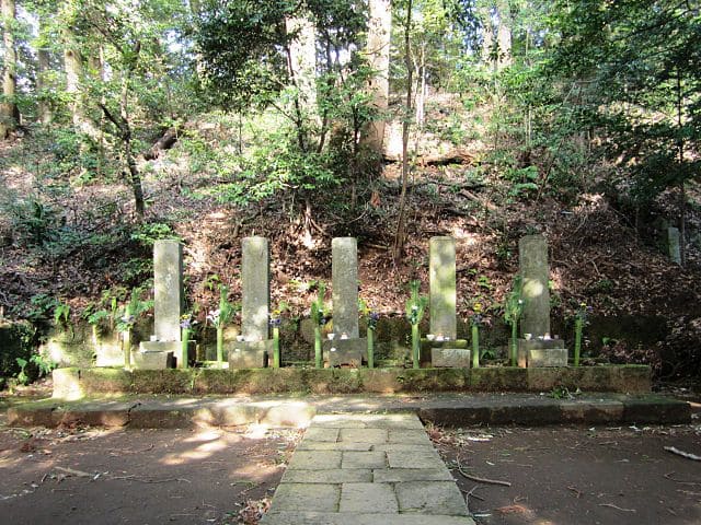 北条氏直 実権は父氏政にあったという北条氏最後の当主 最終的に秀吉の旗本家臣に 戦国ヒストリー